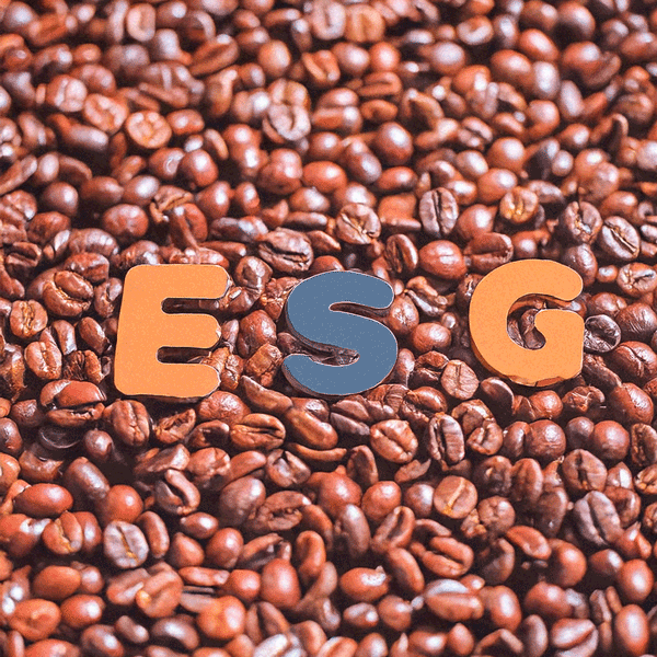 Sustainable Practices in Hong Kong's Coffee Industry: From Bean to Cup
